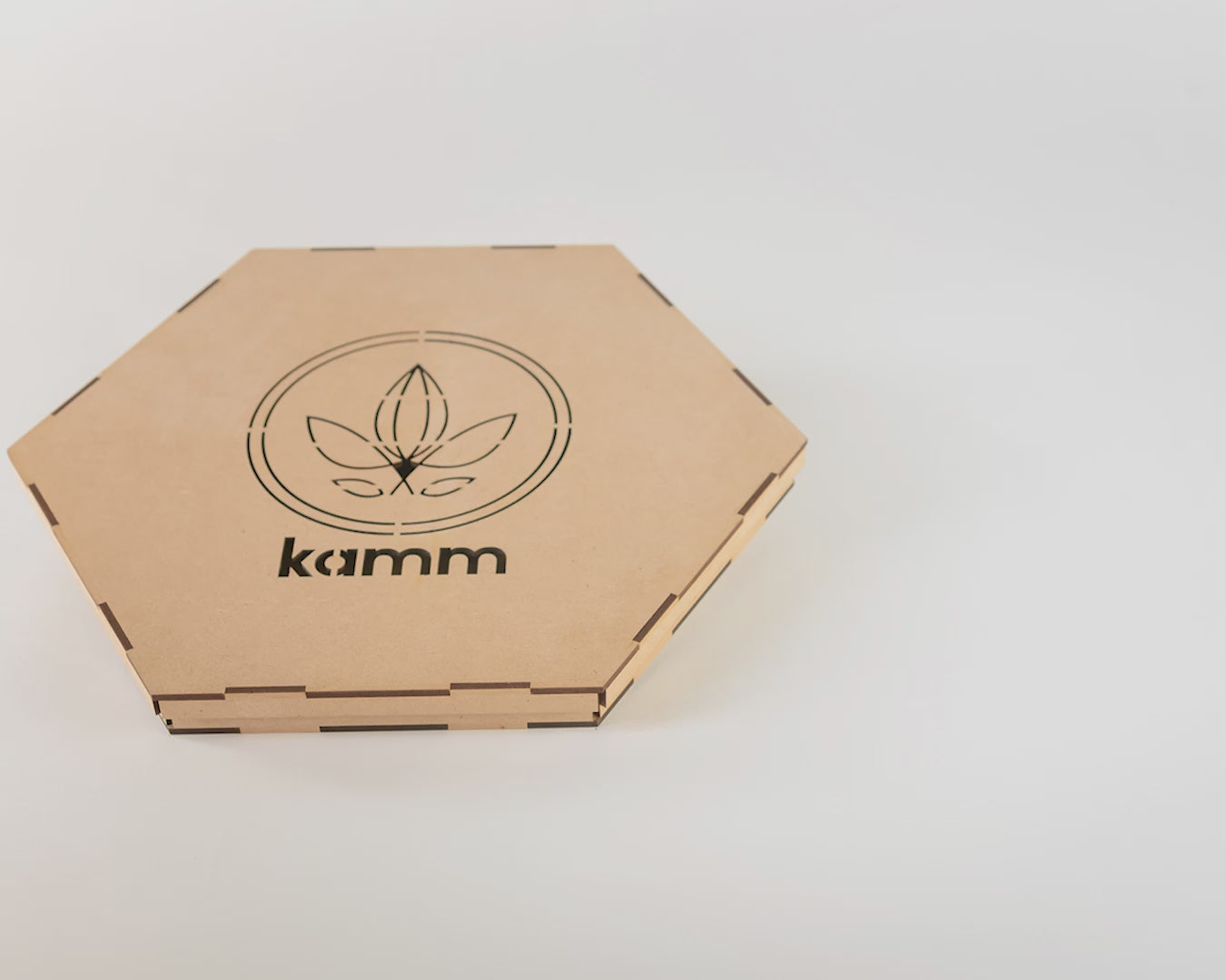 Charger la vidéo : 